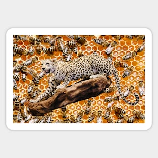 Jaguar in the beehive / Swiss Artwork Photography Sticker